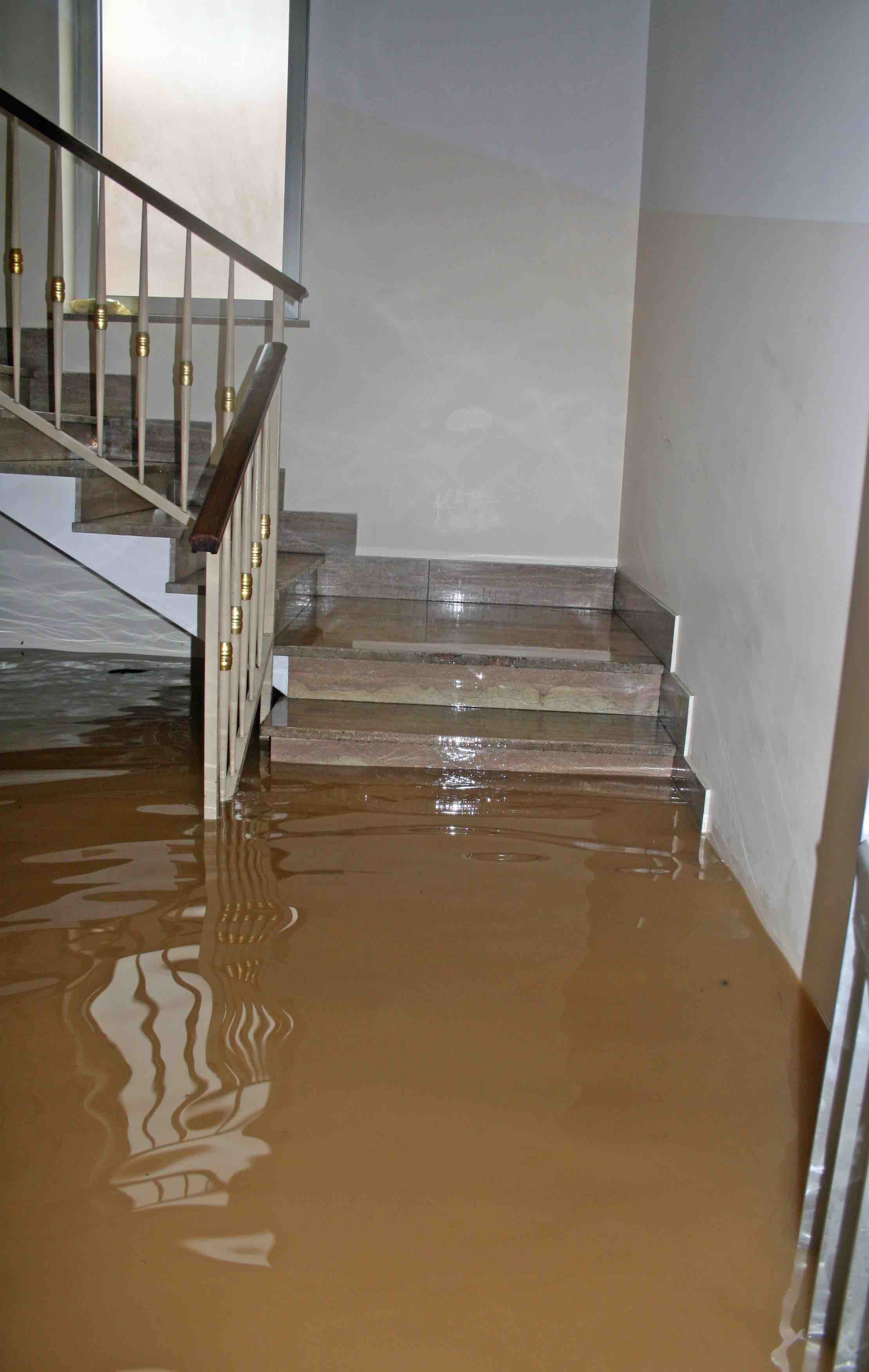 Water Damaged Basement, Water Extraction, Water Removal